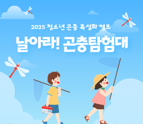 날아라! 곤충탐험대!