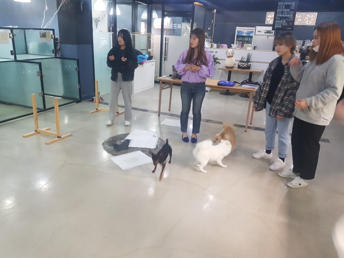 학교 밖 나다움 동아리 애견훈련사 직업 체험