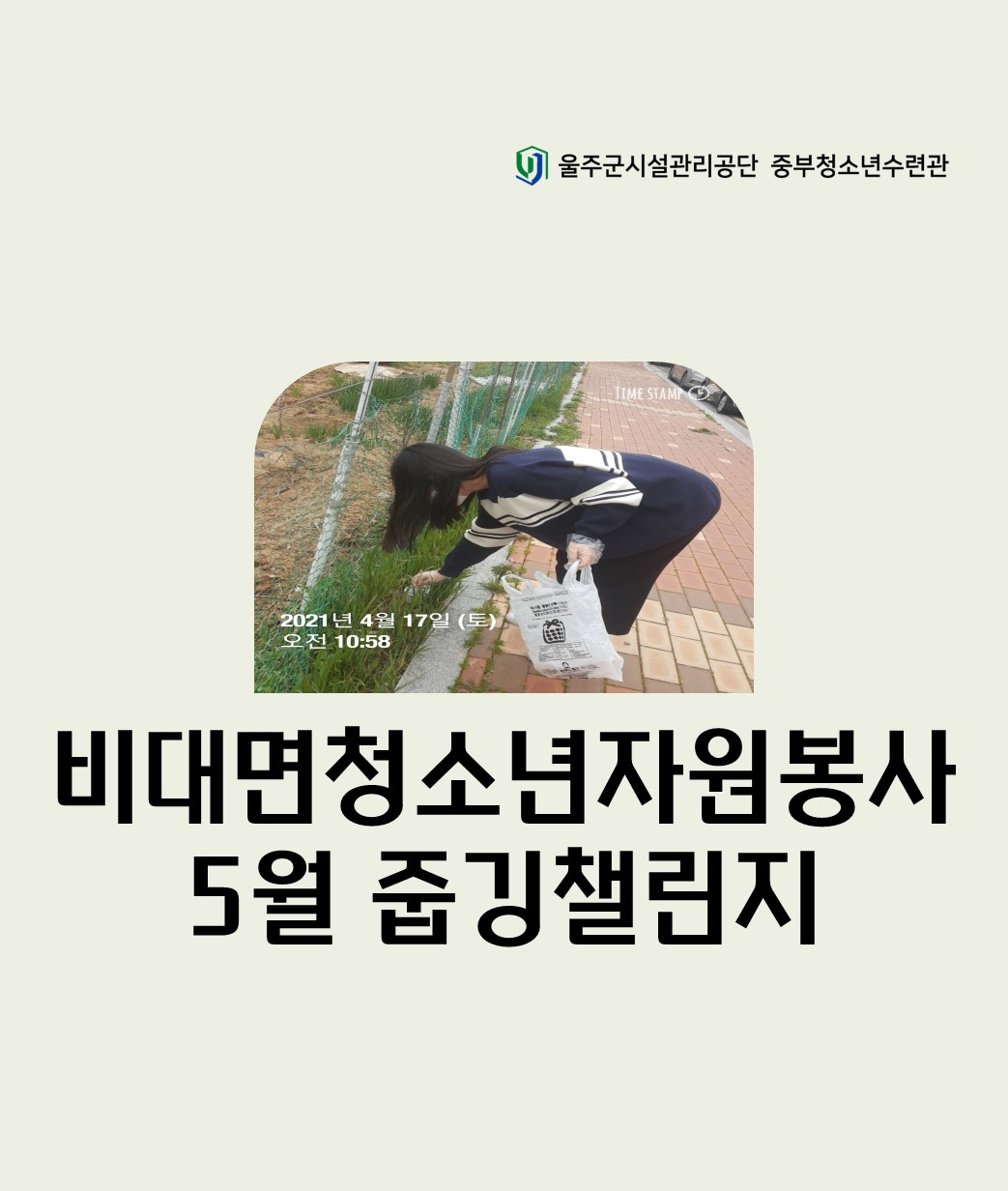 비대면 청소년자원봉사 
